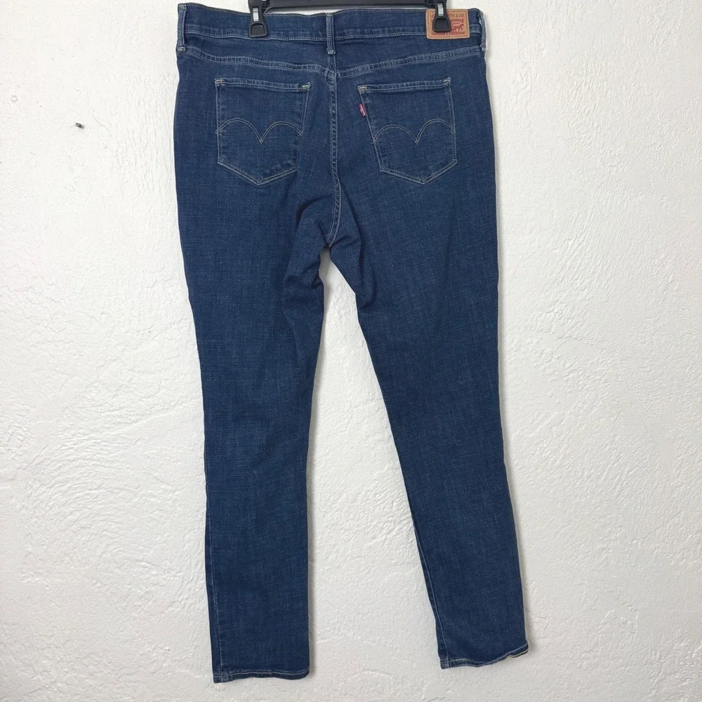 Levis levis 311